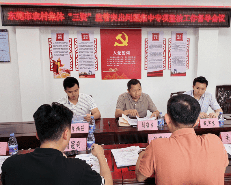 市农资办赴东坑督导农村集体“三资”监管突出问题集中专项整治工作
