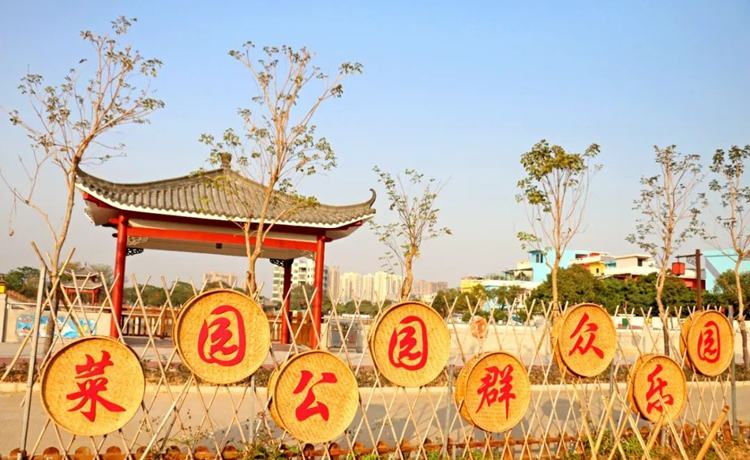 横沥山厦村：靓环境、兴产业、筑和谐！