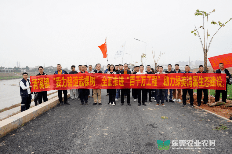 清溪镇大力推进乡村绿化美化，持续优化农村人居环境