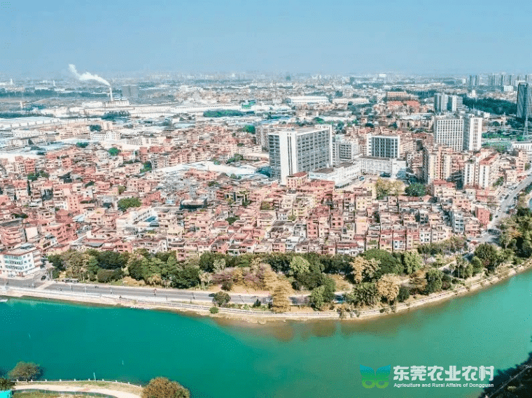 上甲社区：经济做强成功消薄，实现首次分红