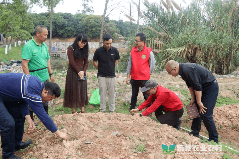 市农技“轻骑兵”助力“校园农场”开启春耕模式