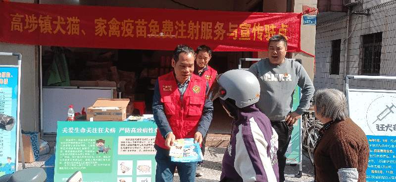 高埗启动犬只免疫行动，为人畜健康安全“上锁”