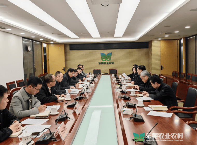 2024年《东莞市农村集体资产管理条例》将提请审议