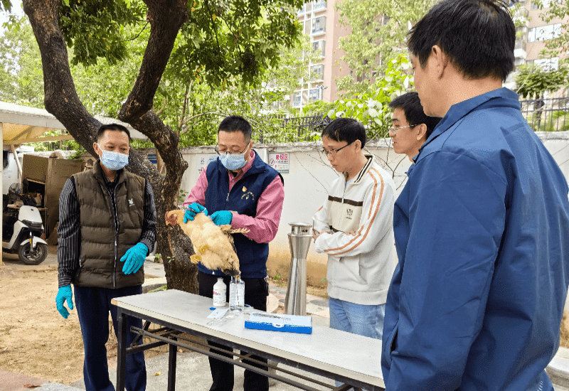 东坑多举措发力，为春季动物防疫工作打“强心针”
