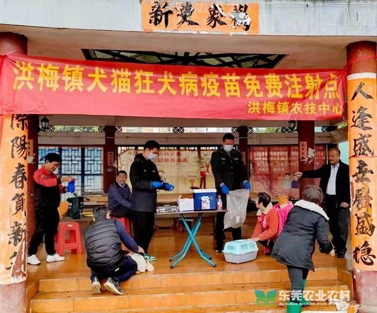 洪梅：春季动物防疫工作正式启幕