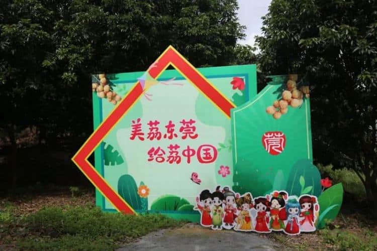 莞荔天团下乡助力支农，3位专家开讲授业