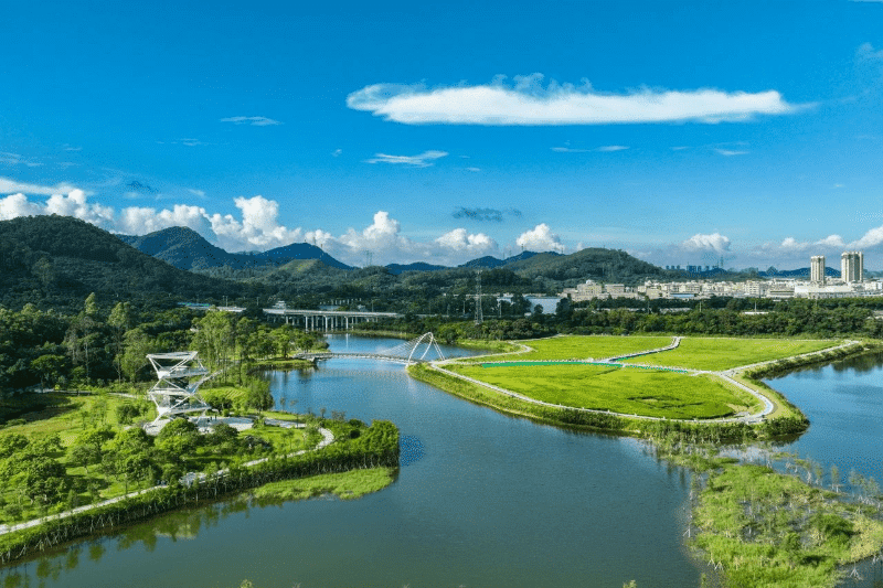 以“点线面”精绘，铺展绿美黄江新图景