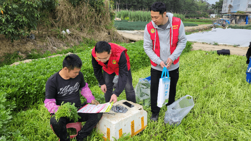 农业科技特派员聚焦重点品种，打响药物残留治理攻坚战