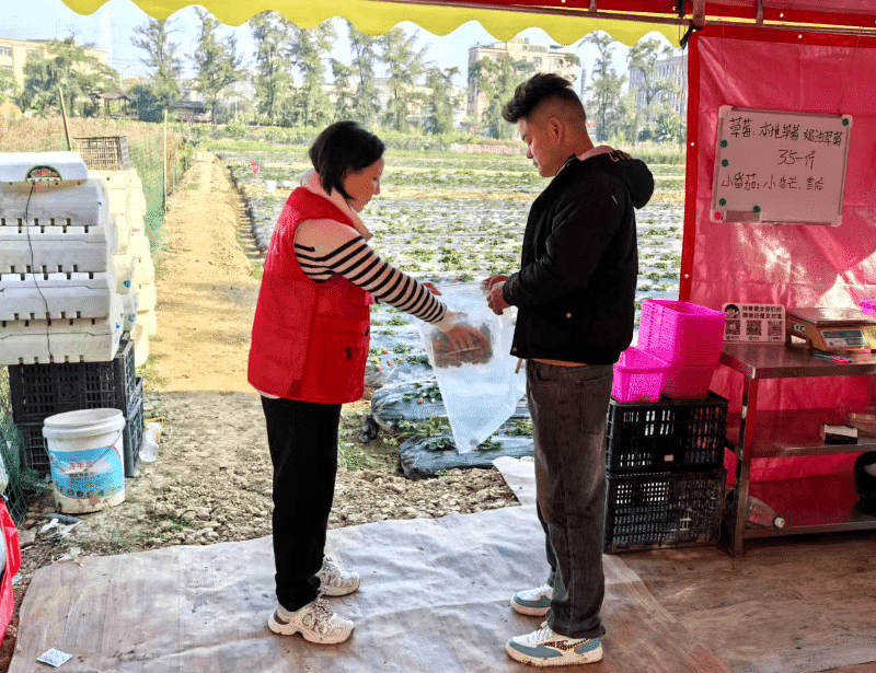 “两节”将至，东莞各镇街筑牢农产品质量安全防线