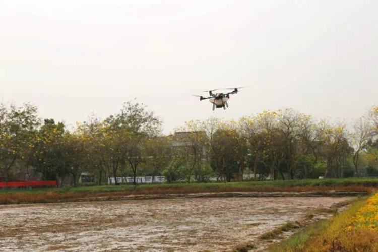 农忙正当时！无人机“飞播”为春耕插上“科技”翅膀