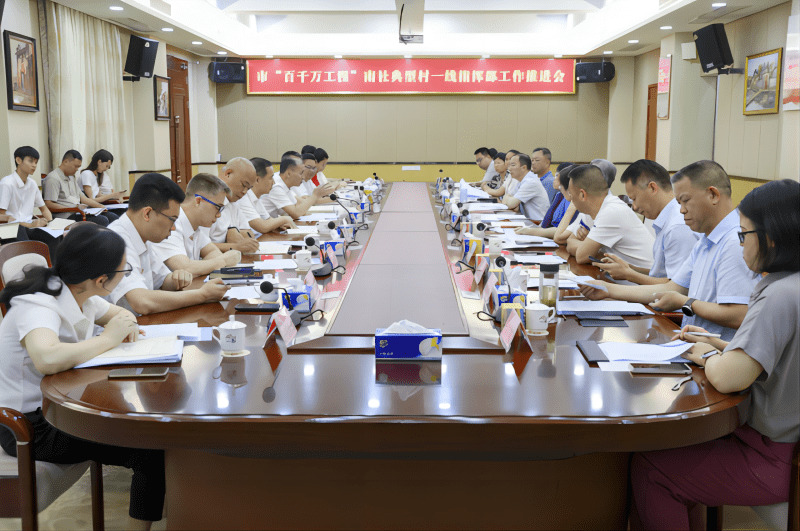 市领导调研茶山镇南社村“百千万工程”典型村培育工作
