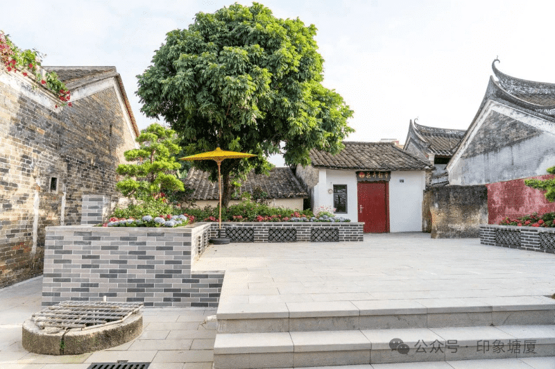 产强村美焕新颜！凤凰岗社区“百千万工程”加速蝶变