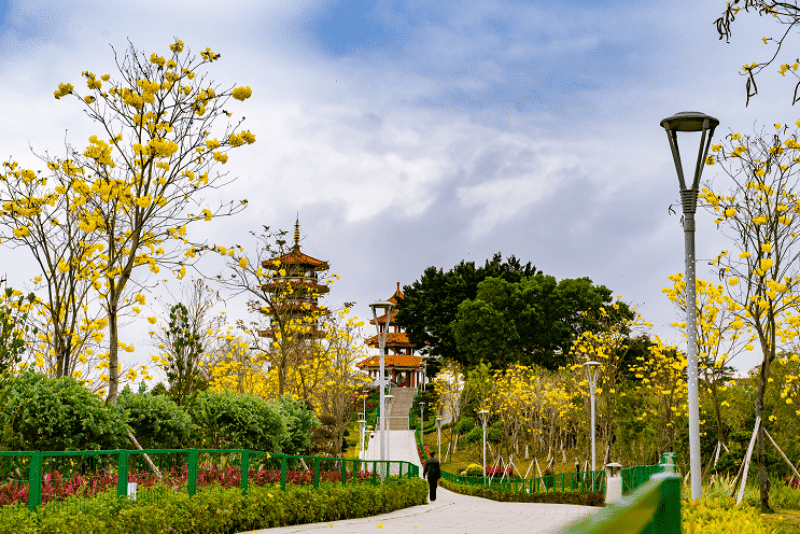 凤岗对标大湾区明星村，绘就绿美乡村崭新画卷