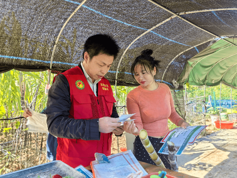 东坑：强化源头监管，扎实推进农产品质量飞行抽检行动