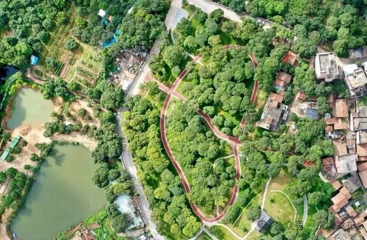 逐“绿”奋进，东坑绘就“百千万工程”生态新画卷