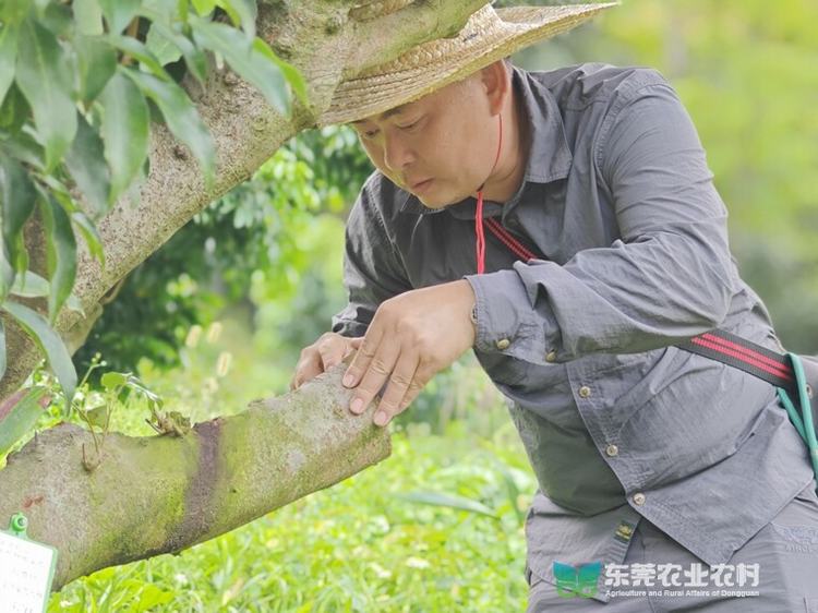 新农人蔡建权：以技术服务赋能乡村振兴