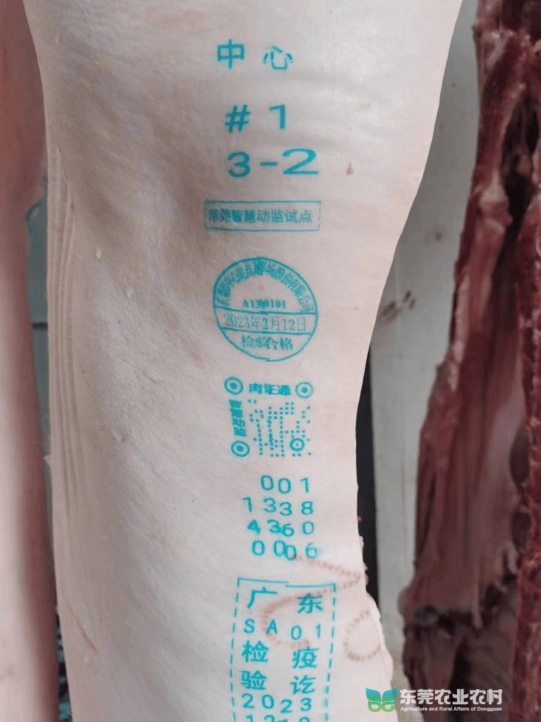 广东省首个！我市试点数字喷码出具生猪屠宰检疫检验合格验讫印章工作