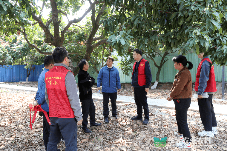 “数字轻骑兵”为荔农保花保果出妙招