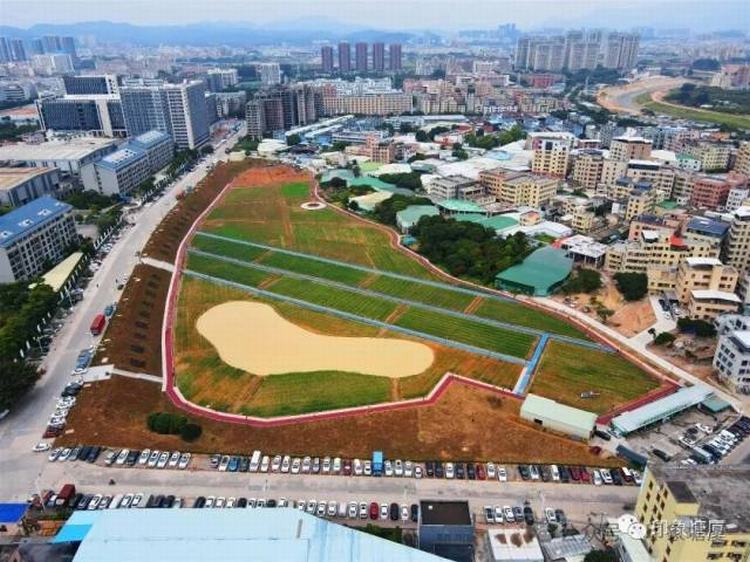 沙湖社区“颜值”“气质”双提升，绘就群众幸福生活新画卷