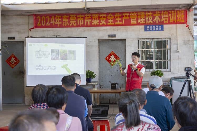 聚焦“芹”系安全，绿色防控芹菜种植技术培训亮点纷呈