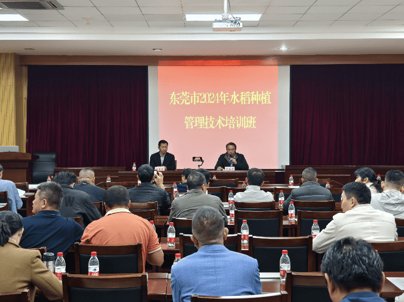 解锁提升水稻单产水平的“妙招”！