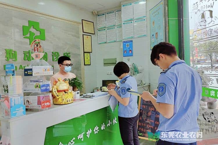 东莞各镇街开展动物诊疗机构“节前体检”行动