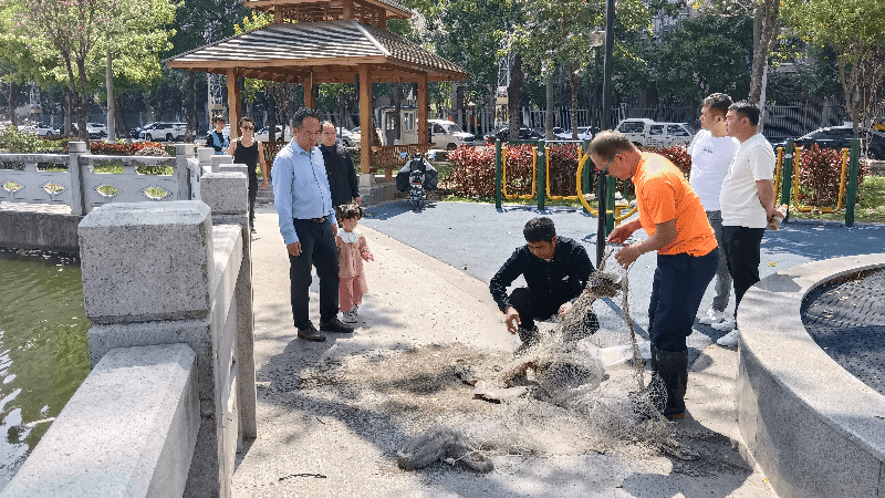 石碣启动水产品风险监测抽检行动