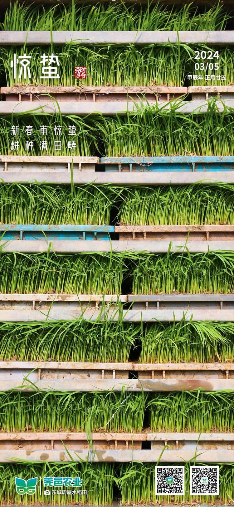 惊蛰至：新春初醒，田畴农事忙