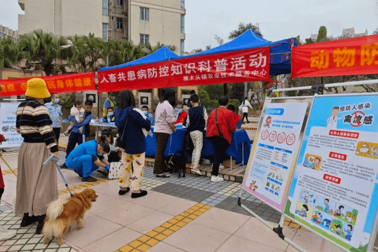 樟木头开展犬猫集中免疫注射，筑牢人畜共患病防线