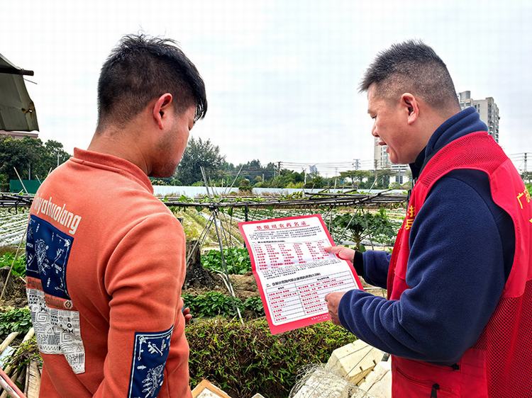 道滘农技“轻骑兵”田间宣讲指导草莓用药安全