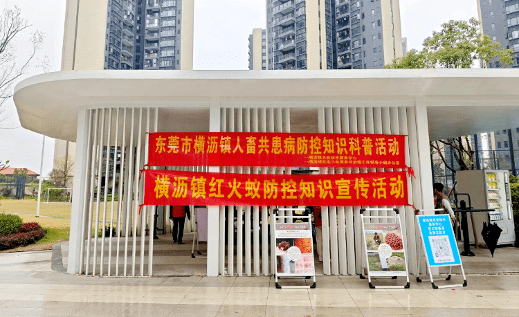 横沥镇耐心科普：开展红火蚁危害与防控专项宣传活动