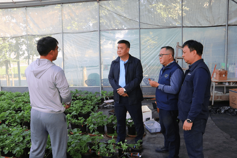东坑年底开展农产品质量安全专项检查