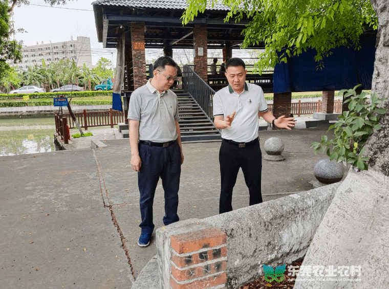 中堂开展“百千万工程”工作督导调研行动