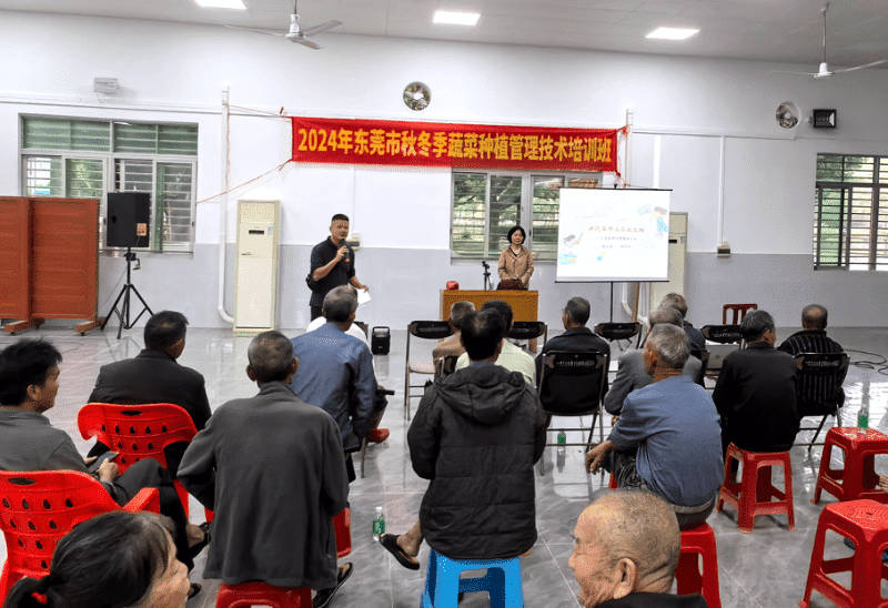 市、镇携手举办冬季蔬菜种植管理技术培训班
