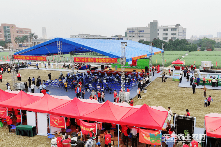 东莞召开春耕现场会，动员部署全市春播与全年“三农”重点工作