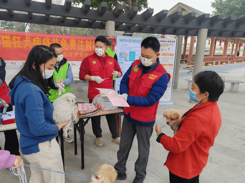 万江开启春季动物防疫行动，全力筑牢动物健康屏障