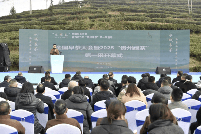 “贵州绿茶”首采开启春日序章，全国早茶大会尽显水城春茶风采