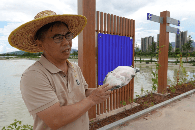 30年深耕水产养殖，蹚出龟鳖产业致富新路径