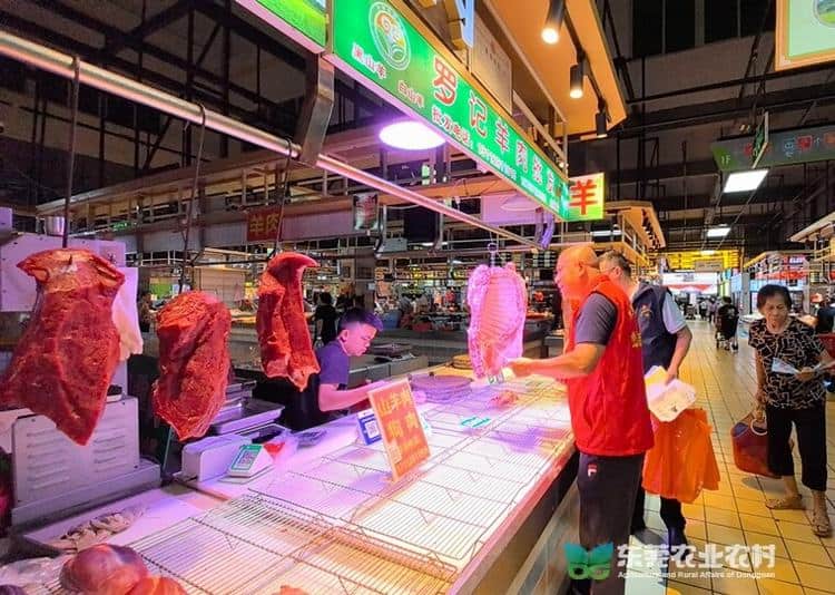 东坑：市镇村三级携手，共促人畜共患病防治宣传