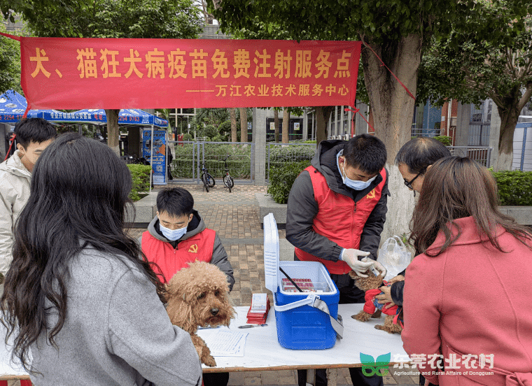 万江启动春季动物疫病集中防疫行动