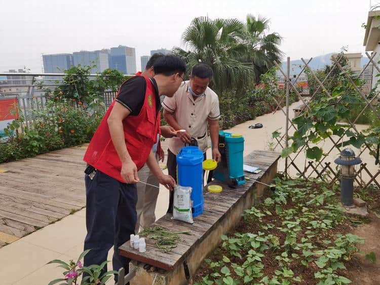 “农友圈”线上呼救 农科中心“轻骑兵”火速解难