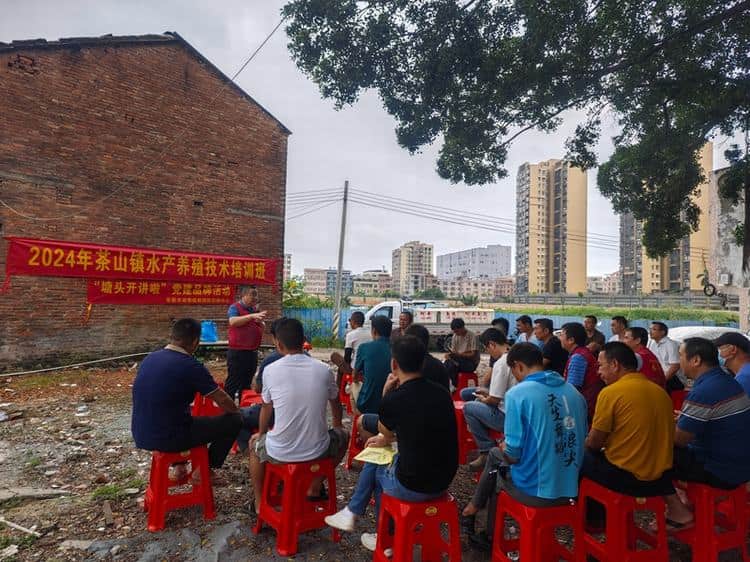 渔业“轻骑兵”发力，护航四大家鱼养殖病害防治