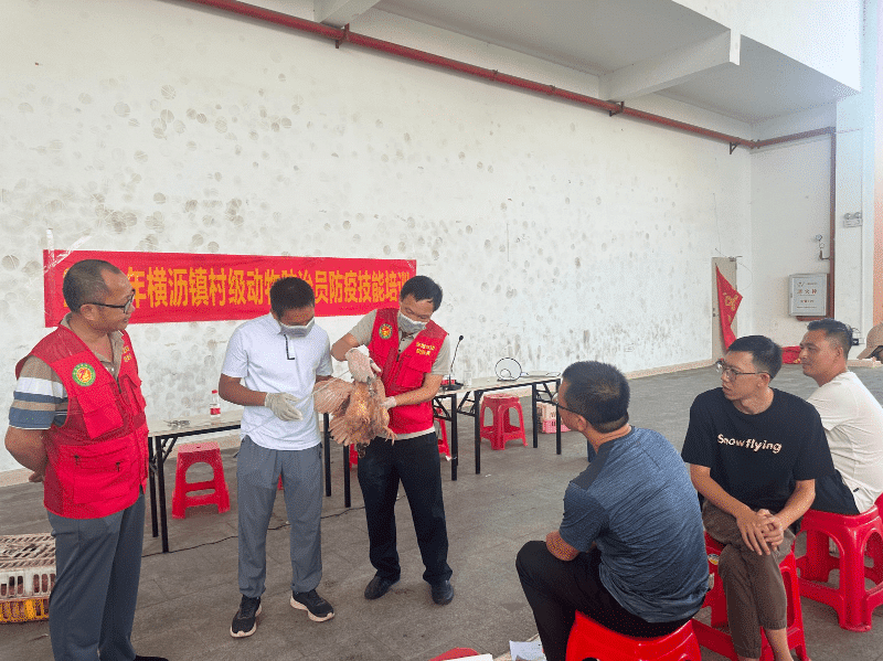 横沥开展村级动物防治员防疫技能培训活动