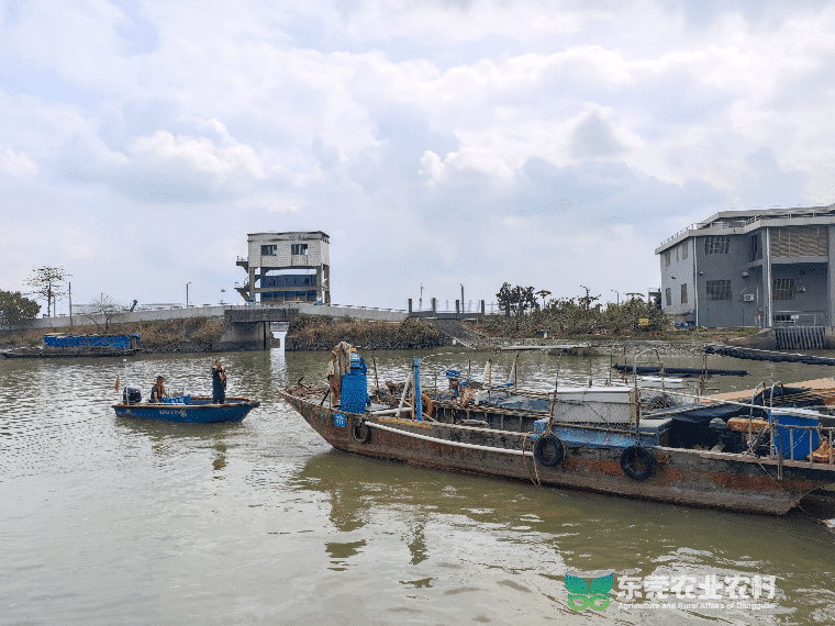 市海洋综合执法支队联合多部门开展涉渔“三无”船舶突击整治行动