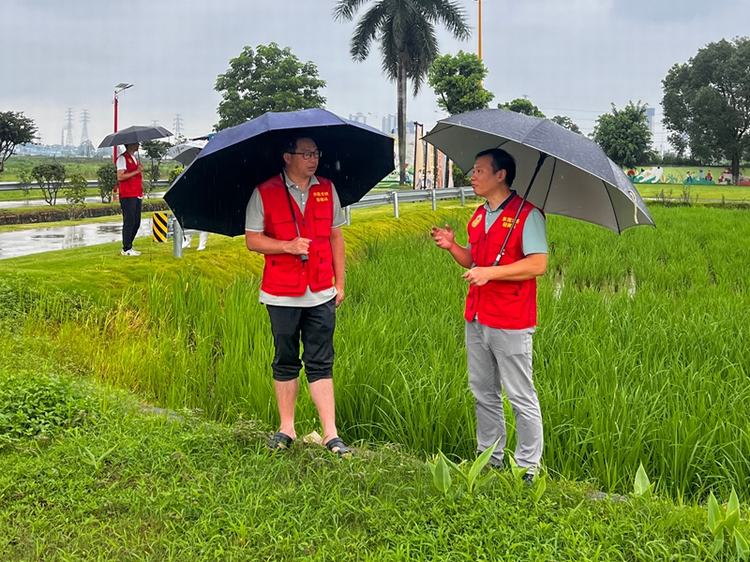 “龙舟水”将至，市镇“轻骑兵”携手下乡助力农业生产