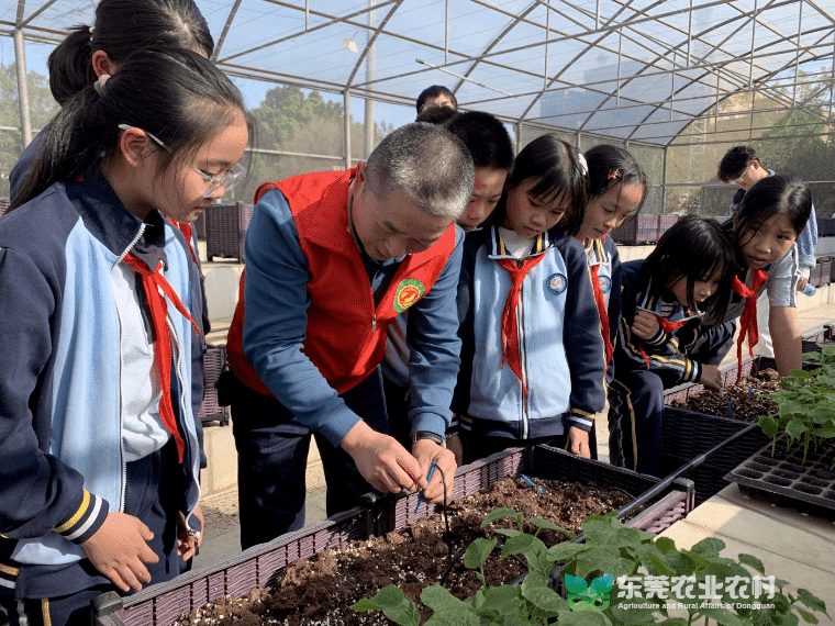 市农技“轻骑兵”走进洪梅镇第二小学