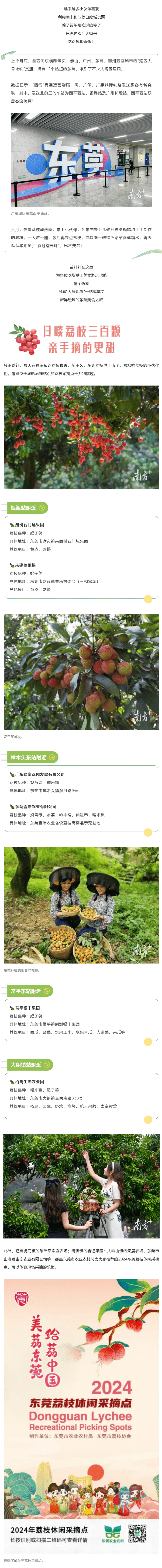乘“湾区大号地铁”，赴莞乡尝荔枝香蕉之味！