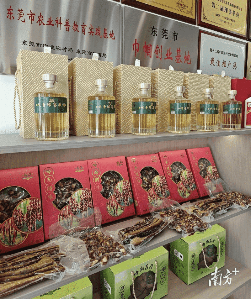 荔枝深加工新品不断，这家企业让“观音绿”变身大产业