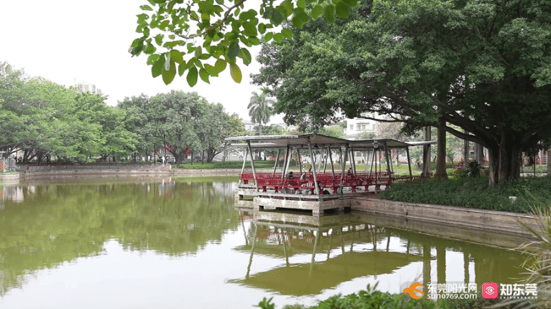 石龙西湖村：众志成城添“绿美” 绘就乡村振兴新画卷