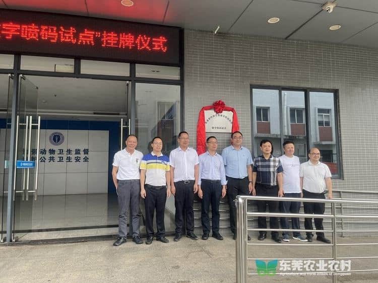 今日！全国仅三个“农业农村部生猪屠宰检疫检验数字喷码试点”在莞揭牌